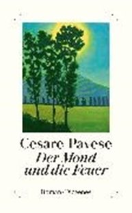 Bild von Pavese, Cesare: Der Mond und die Feuer
