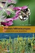 Cover-Bild zu Amiet, Felix: Bienen Mitteleuropas
