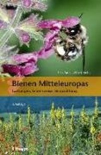 Bild von Amiet, Felix: Bienen Mitteleuropas
