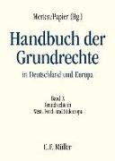 Cover-Bild zu Papier, Hans-Jürgen (Hrsg.) : Handbuch der Grundrechte in Deutschland und Europa. Handbuch der Grundrechte in Deutschland und Europa 10