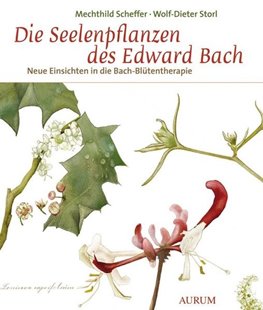 Bild von Scheffer, Mechthild : Die Seelenpflanzen des Edward Bach