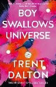 Bild von Dalton, Trent: Boy Swallows Universe