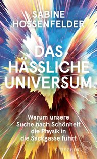 Bild von Hossenfelder, Sabine : Das hässliche Universum (eBook)