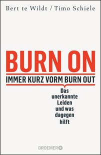 Bild von te Wildt, Bert: Burn On: Immer kurz vorm Burn Out