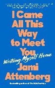 Bild von Attenberg, Jami: I Came All This Way to Meet You